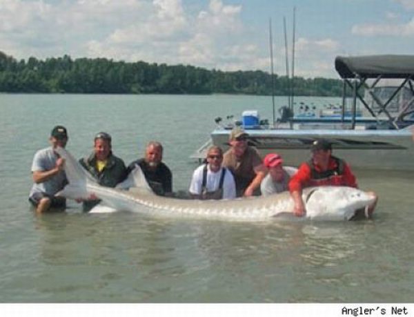 Fisherman’s Dream (31 pics) Fisherman’s Dream (31 pics)