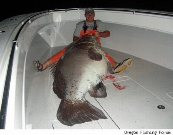 Fisherman’s Dream (31 pics) Fisherman’s Dream (31 pics)