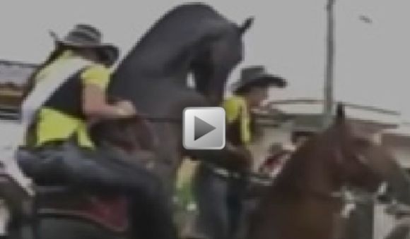 Horse Tries To Breed While Ridden