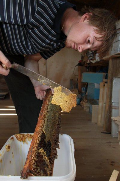 honey extraction sweetest englishrussia maple izismile hack trees step rotation frames