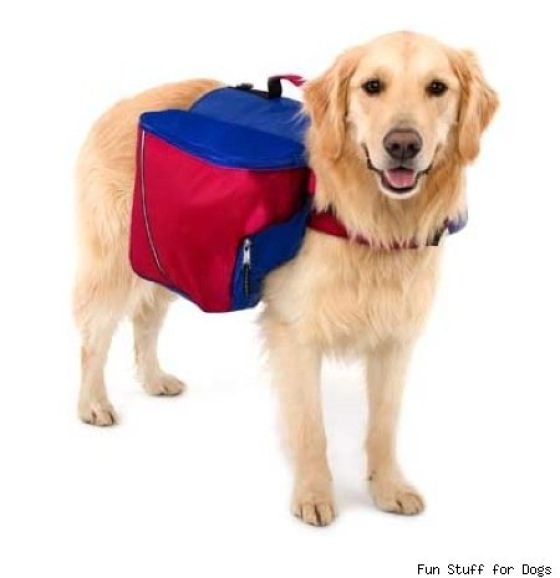 The Craziest Backpacks (28 pics)