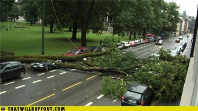 Cars in Hilarious and Weird Situations (83 pics) Cars in Hilarious and Weird Situations (83 pics)