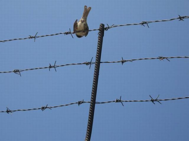 When Female Inmates Take Photos of Their Life in Prison (65 pics)