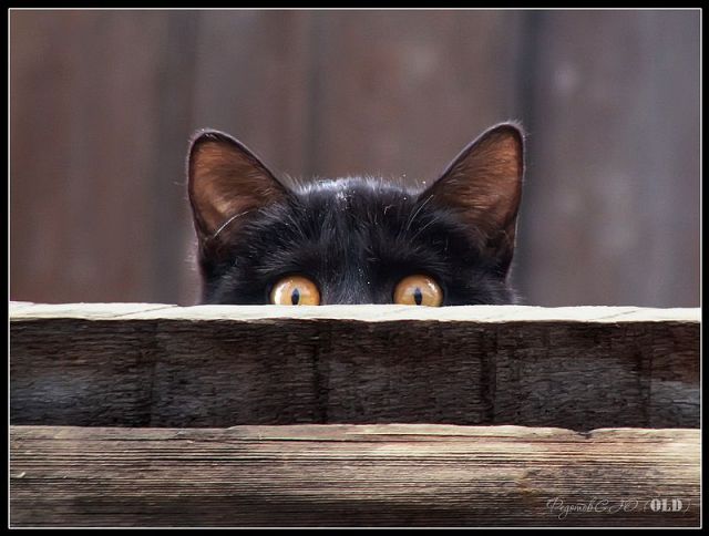 Daily picdump (124 pics)