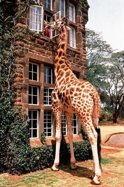 Daily picdump (124 pics)