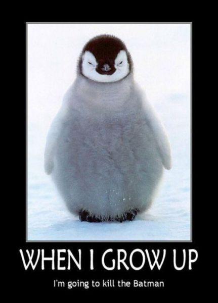Daily picdump (124 pics)