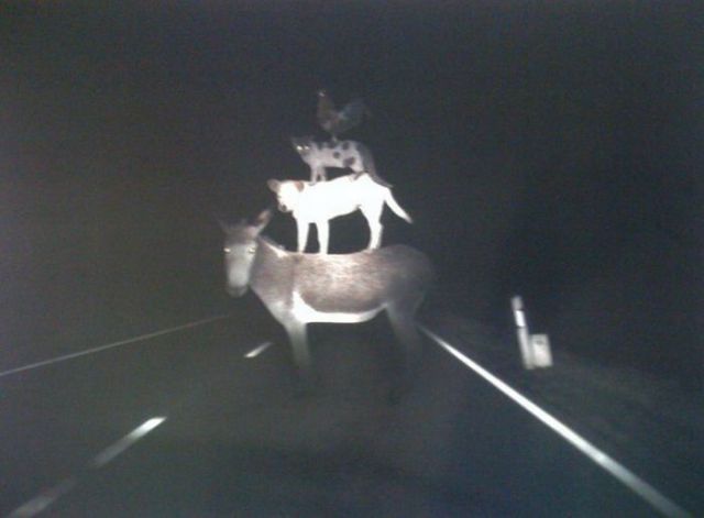 Daily picdump (124 pics)