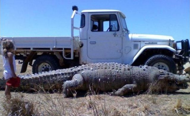 Daily picdump (124 pics)