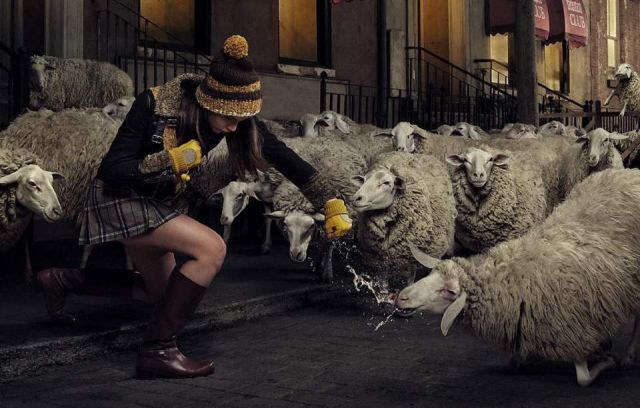 Daily picdump (124 pics)