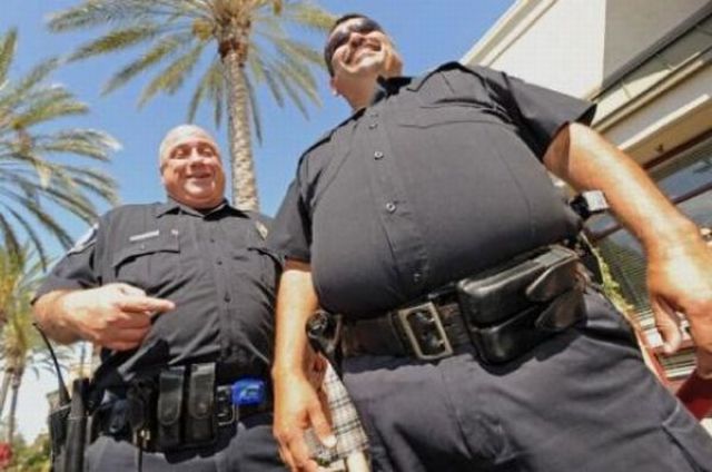 Image result for american fat police