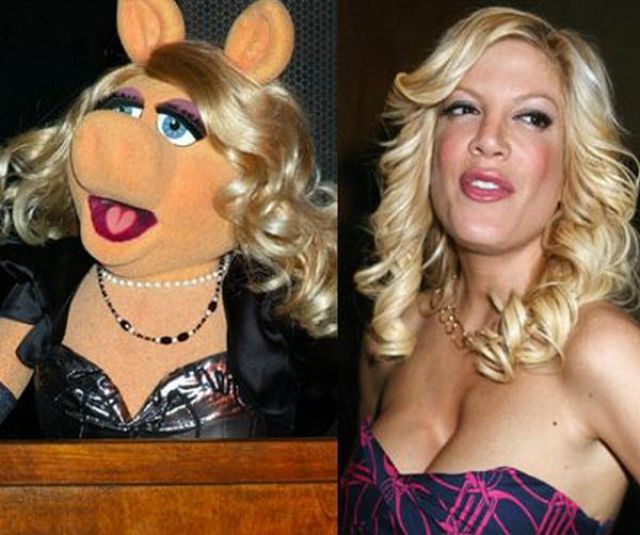 3 Celebs and Muppets 30 pics 