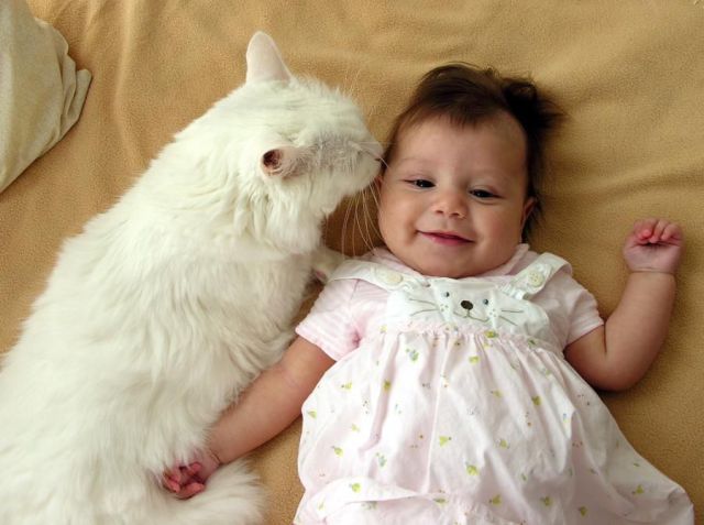 Daily picdump (115 pics)