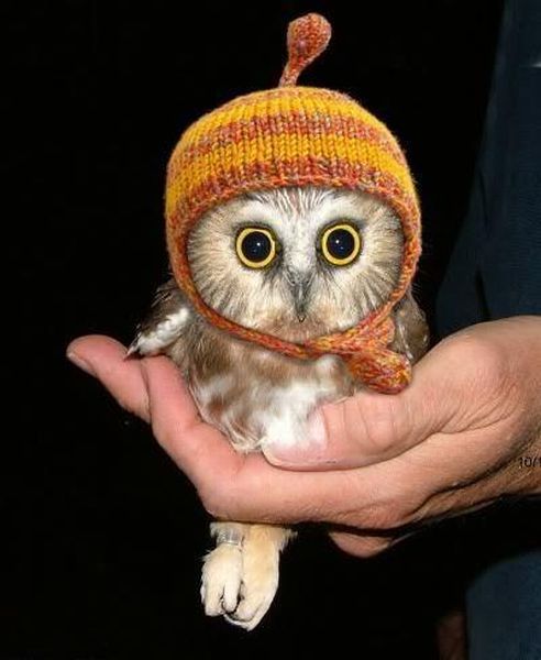 Daily picdump (115 pics)