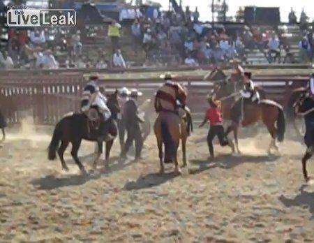 Animal Rights Hippy Interrupts Rodeo, Gets Lassoed And Dragged By Horseman