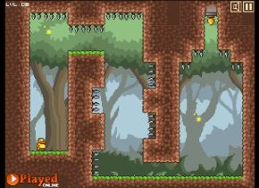 Gravity Duck