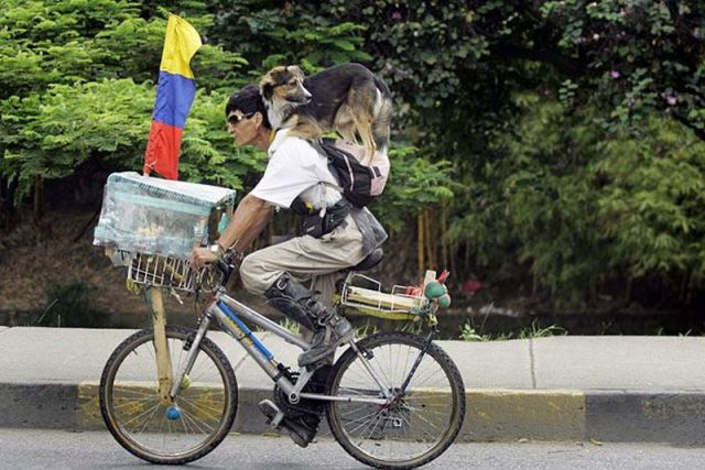 Daily picdump (133 pics)