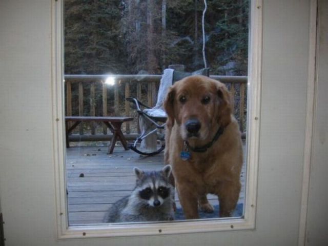 Daily picdump (133 pics)