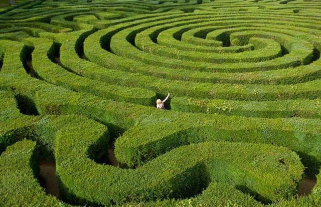 Daily picdump (133 pics)