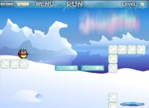 Crazy Penguin
