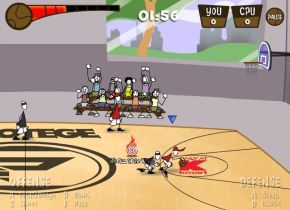 Protege Stick Basketball