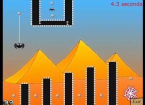 Momentum Master 2