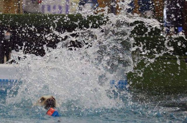 Daily picdump