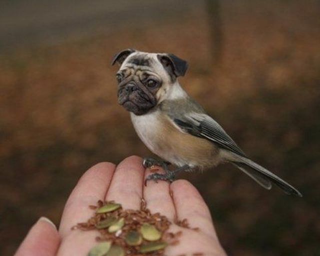 Daily picdump