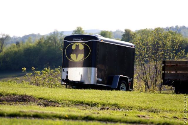 All about Batman