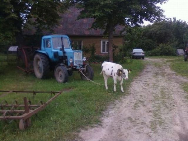 Daily picdump