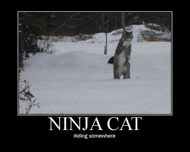 Daily picdump
