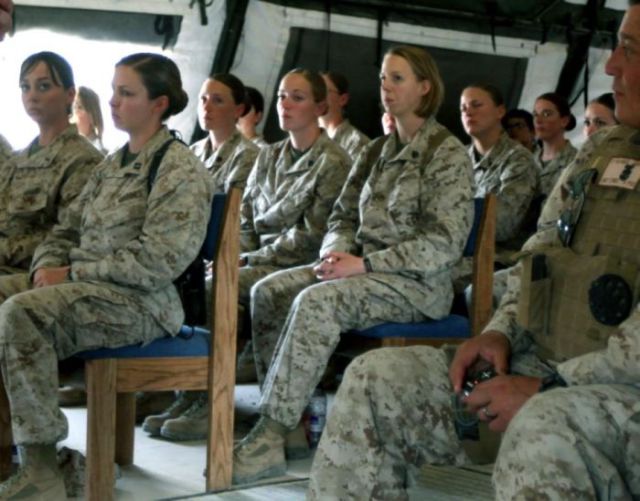 Fighting Females Fighting Females