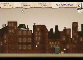 Flight