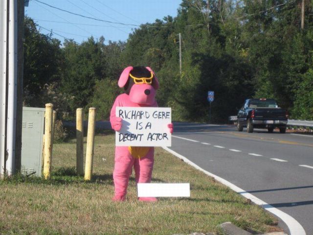Daily picdump