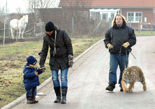 Daily picdump