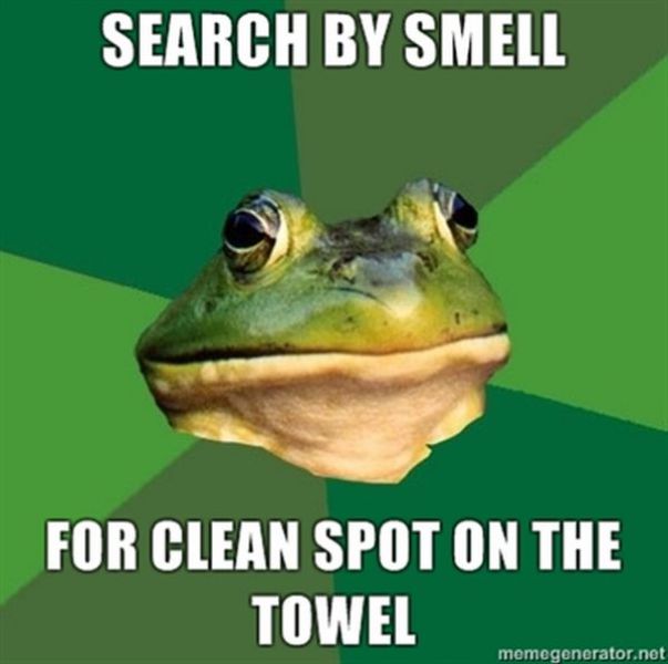 Daily picdump