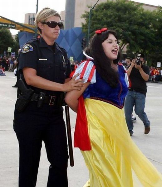 Daily picdump