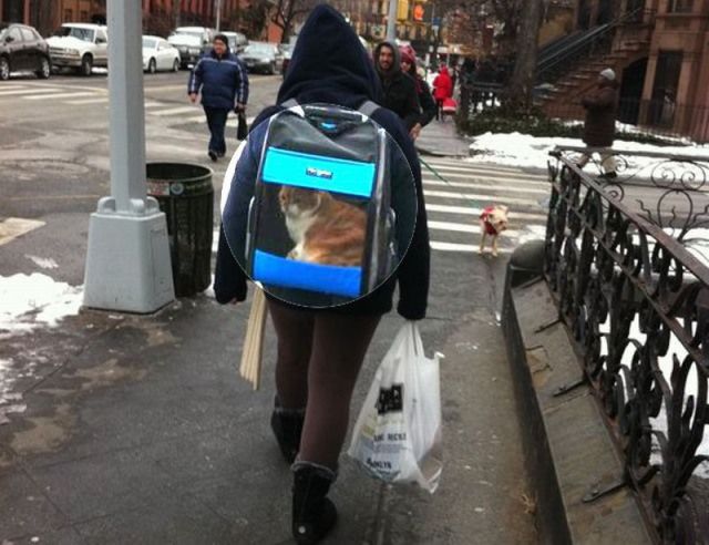 Daily picdump