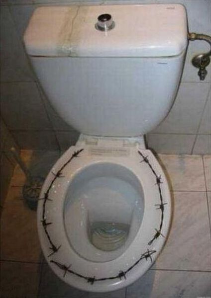 Daily picdump