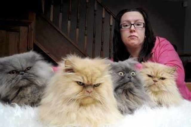 Daily picdump