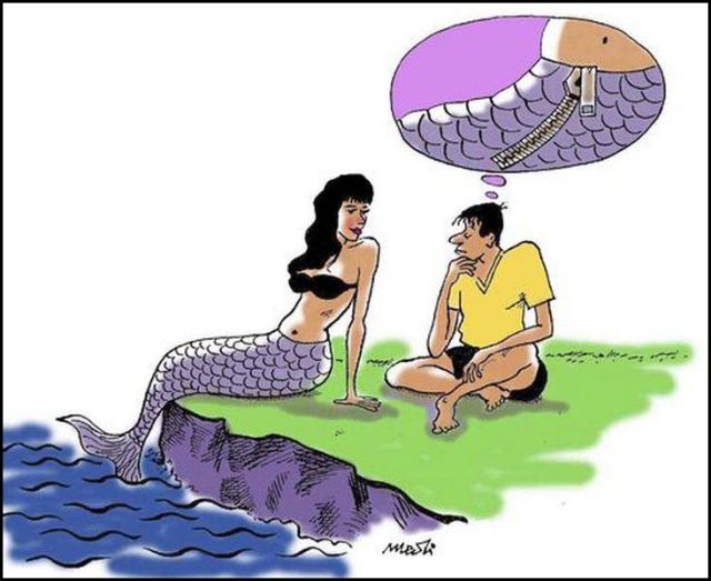 New Funny Collection of Cartoons