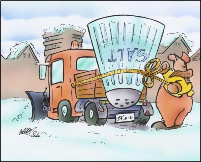 New Funny Collection of Cartoons