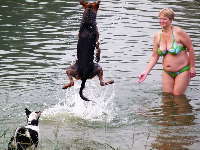 Daily picdump