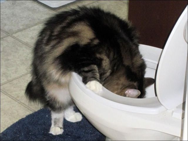 Daily picdump