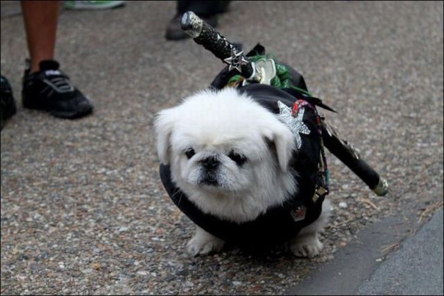 Daily picdump