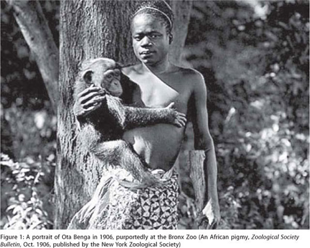 Human Zoos or Negro Villages