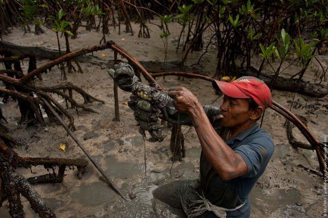 Crab Hunting in Brazil