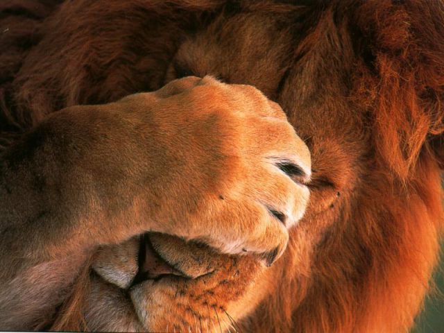 I Was Like