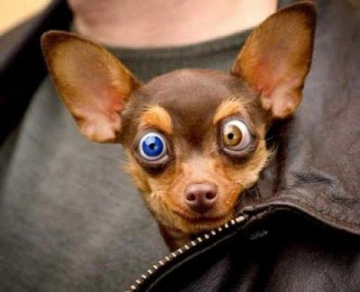I Was Like