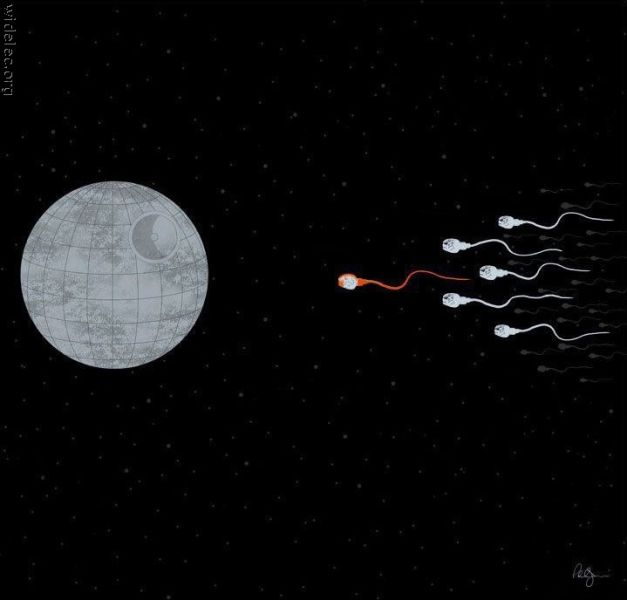 Funny Star Wars Fan Art