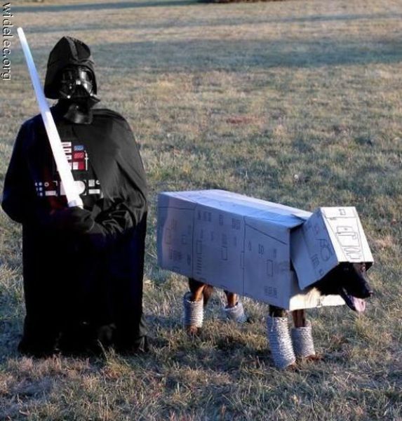 Funny Star Wars Fan Art